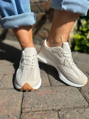 Stone Designer Inspired Trainer
